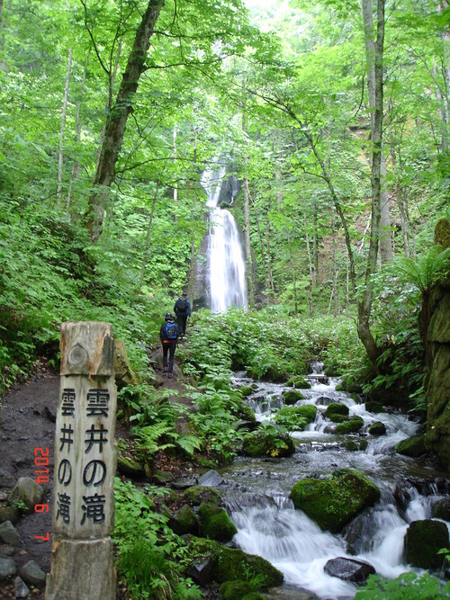 d0165378_1622548.jpg