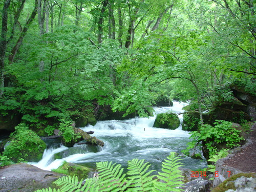 d0165378_162731.jpg