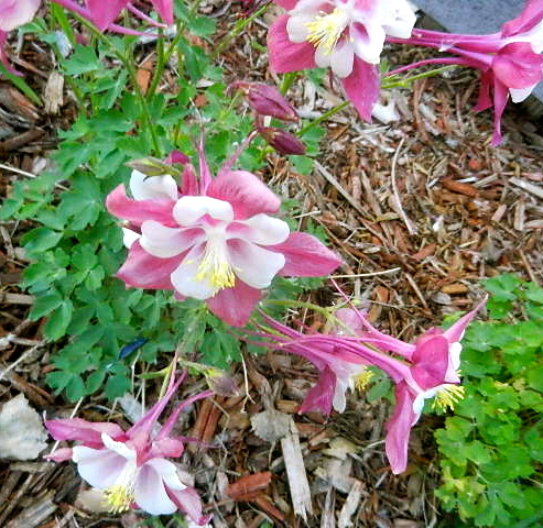 d0260278_11554823.jpg