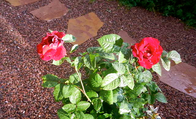 d0260278_22523885.jpg