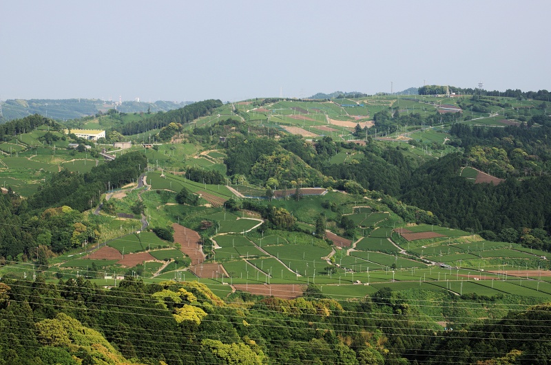 c0135381_8272819.jpg
