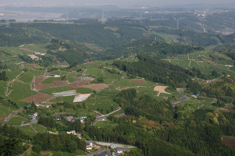 c0135381_8304513.jpg