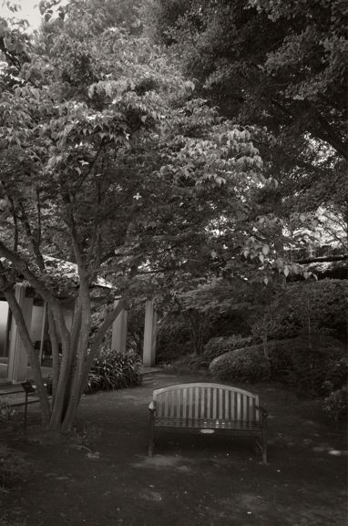 c0313898_811530.jpg