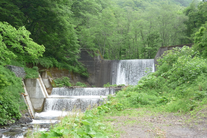 a0214206_21334572.jpg