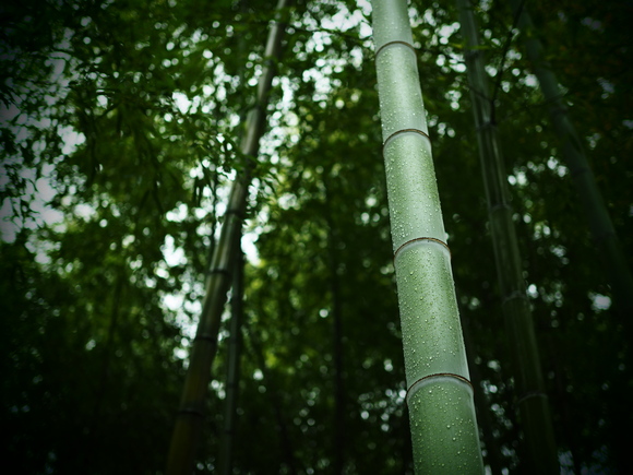 f0302208_12435385.jpg