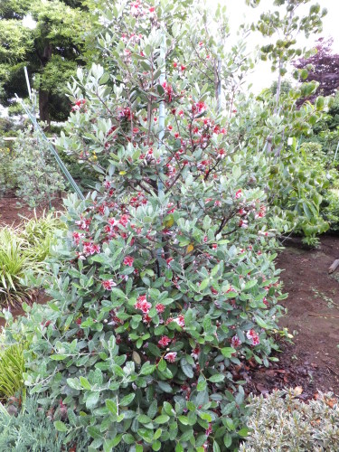 f0329515_17034311.jpg