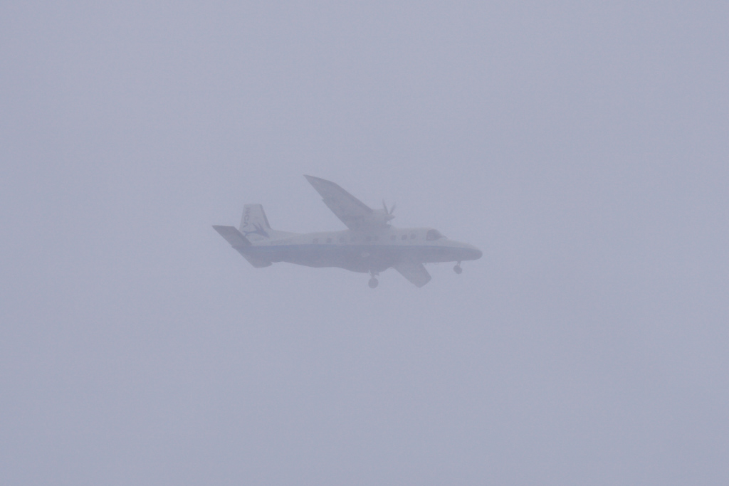 d0192516_22084531.jpg