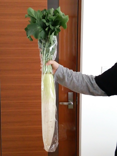 b0199924_13271459.jpg