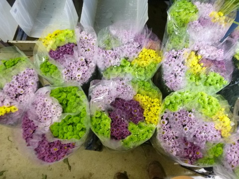 e0120932_1565765.jpg