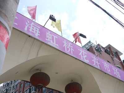 b0035734_1755594.jpg