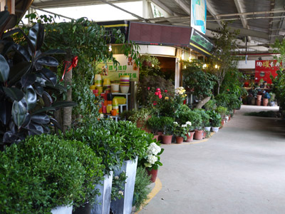 b0035734_17564296.jpg
