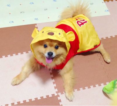c0141335_0321358.jpg