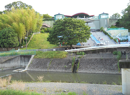 b0174137_18374463.jpg