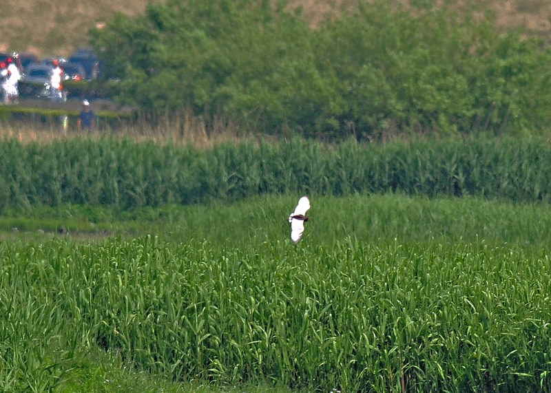 d0290240_06371991.gif