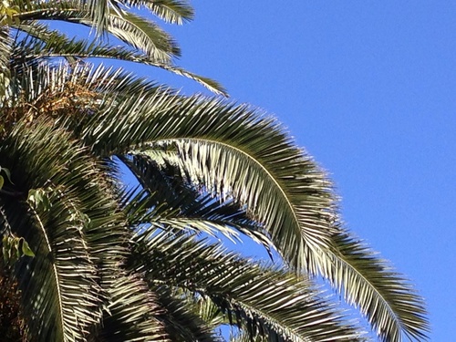 a0053648_21564863.jpg