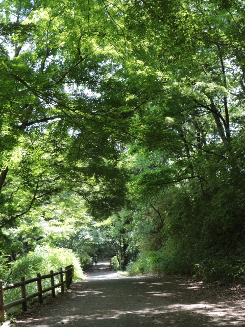 e0017051_2272218.jpg