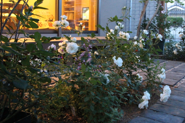 f0160554_2112315.jpg