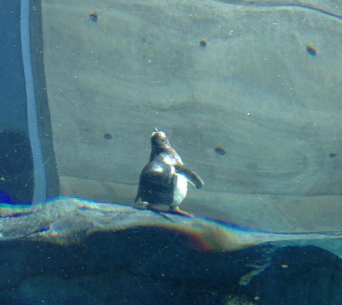 f0149057_1694563.jpg