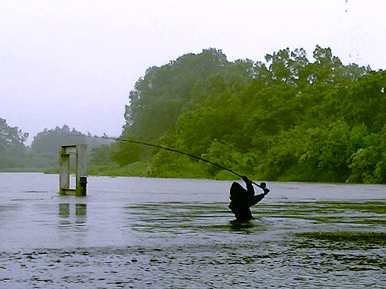 f0084561_14245163.jpg