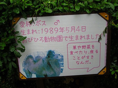 b0171771_07455036.jpg