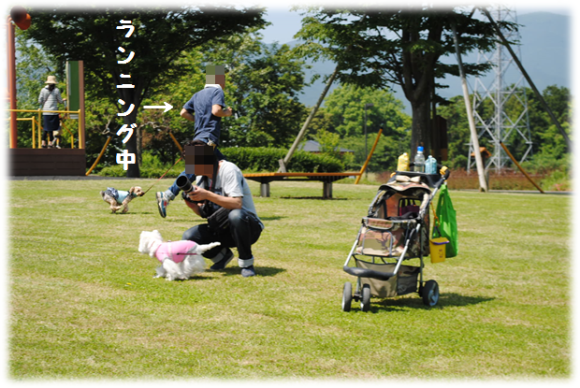 b0242873_01144251.png
