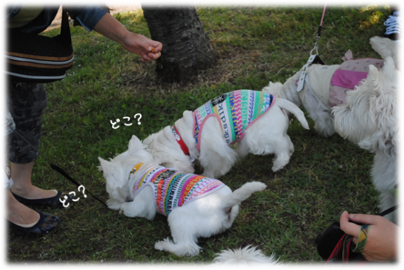 b0242873_09432999.png