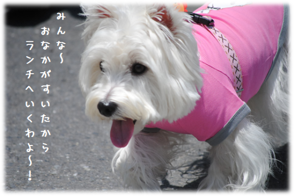 b0242873_09485507.png