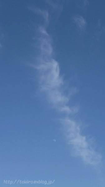 b0326576_1734686.jpg