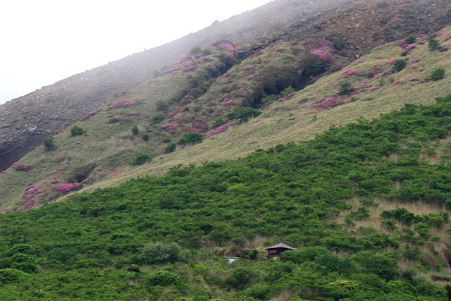d0126577_2261619.jpg