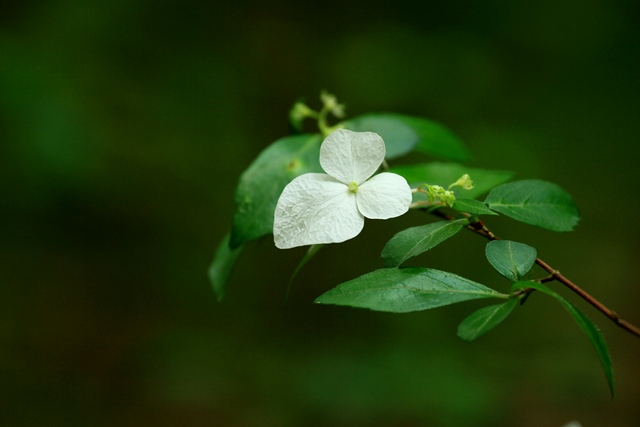 d0126577_228019.jpg