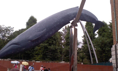c0069380_21323512.jpg