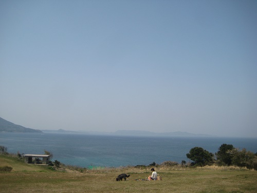 d0174683_2503050.jpg