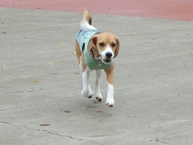 a0319693_15543468.jpg