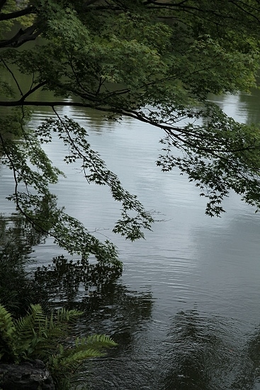 e0209997_07575984.jpg