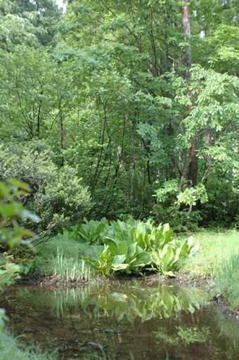 a0061599_83578.jpg