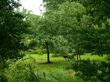 b0110999_2042232.jpg