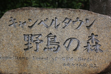f0296999_10552342.jpg