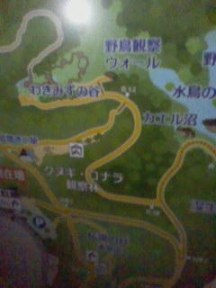 d0072904_21134068.jpg