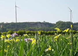 e0107304_0291788.jpg