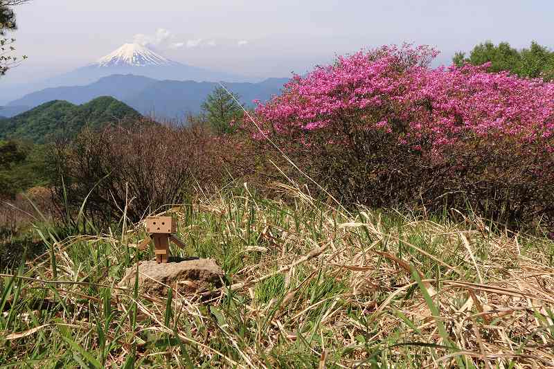 a0188405_6543033.jpg