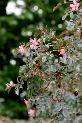 f0041606_14440955.jpg