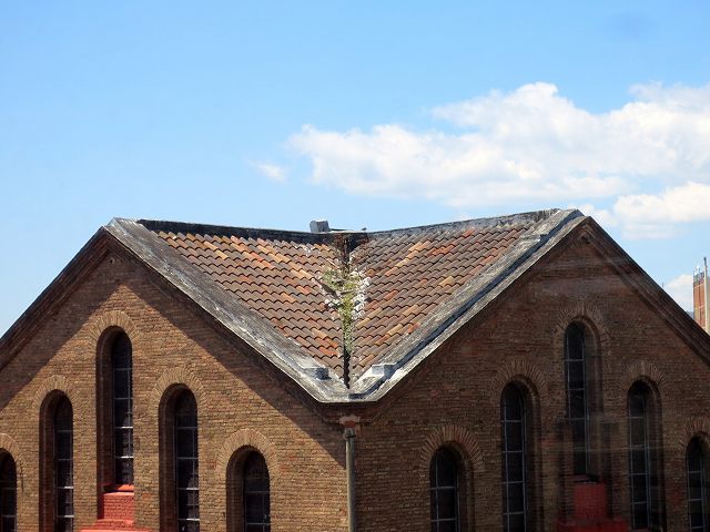 b0064411_18573893.jpg