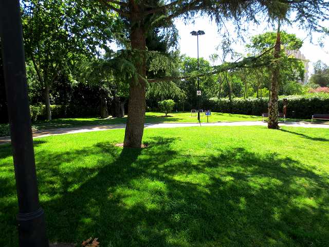 b0064411_23034871.jpg