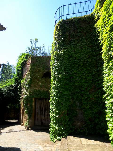 b0064411_23034880.jpg