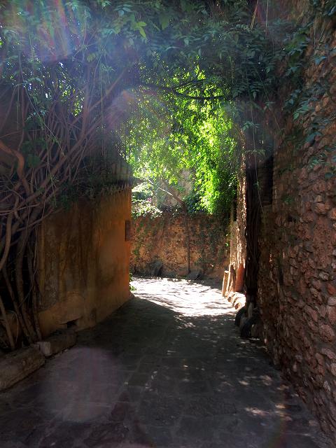 b0064411_23034887.jpg