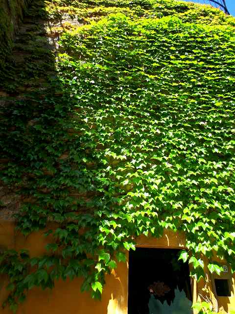 b0064411_23034896.jpg