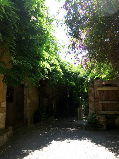 b0064411_23172030.jpg