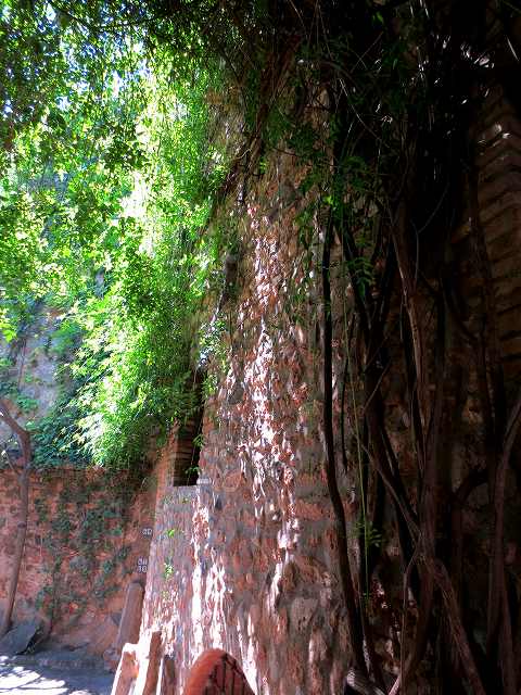 b0064411_23172042.jpg