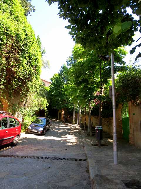 b0064411_23205753.jpg