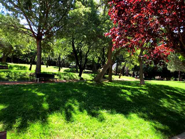 b0064411_23531622.jpg